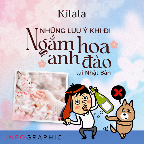 Infographic: Những lưu ý khi đi ngắm hoa anh đào tại Nhật Bản