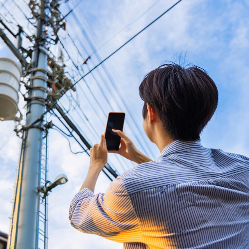 PicTrée: Trò chơi chụp ảnh cột điện “gây bão” nước Nhật