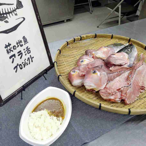 Món cà ri cao cấp làm từ phần đặc biệt của cá amadai