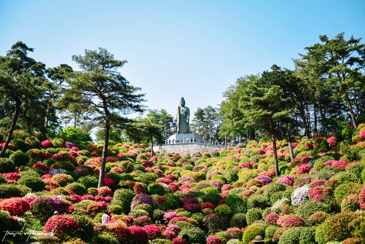 azalea-garden-shiofune-kannon-ji-temple-11