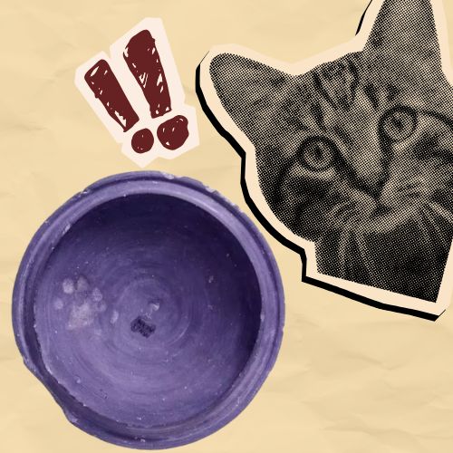 Cổ vật cho thấy người Nhật đã nuôi mèo từ 1.400 năm trước