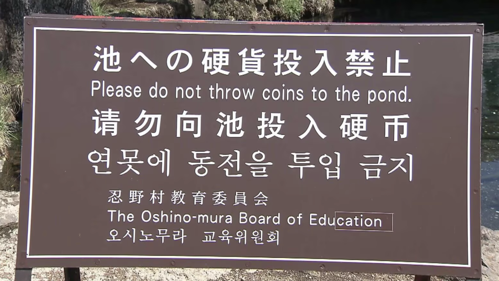 biển-báo-không-ném-đồng-xu-xuống-hồ