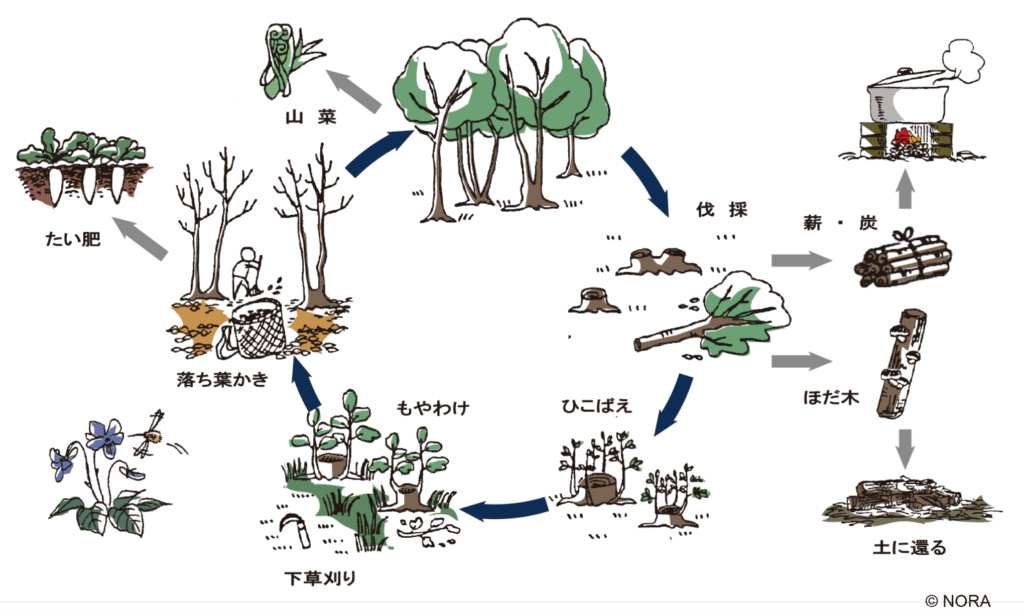 satoyama-tuan-hoan