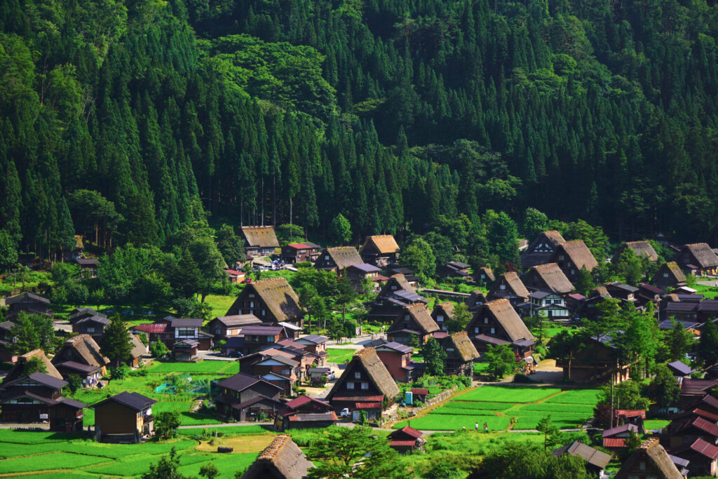shirakawago