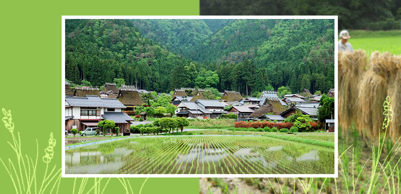 Satoyama