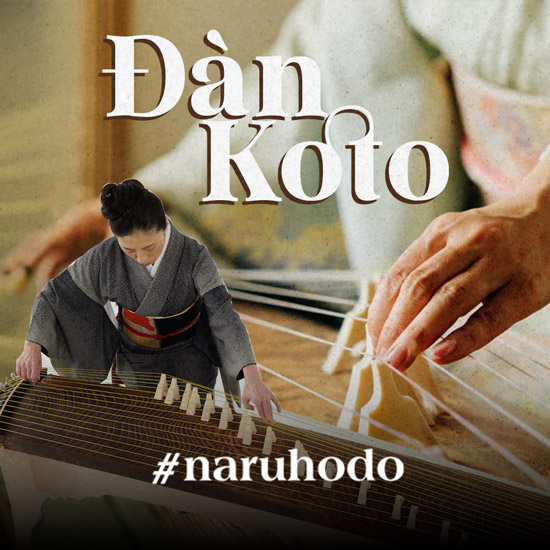 Đàn Koto: Từ âm thanh của cung đình đến các tác phẩm đương đại
