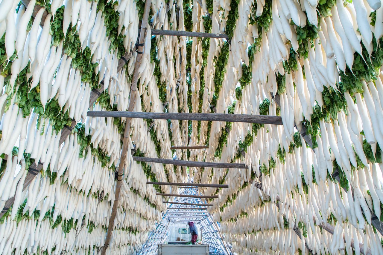 daikon-yagura