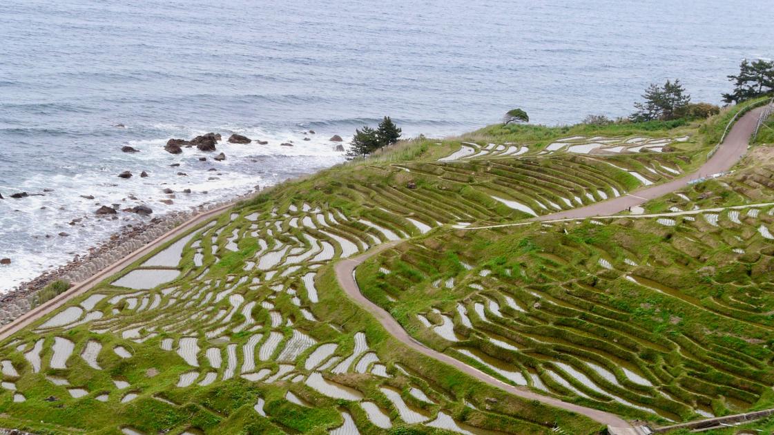 ruộng-bậc-thang-trên-đảo-noto