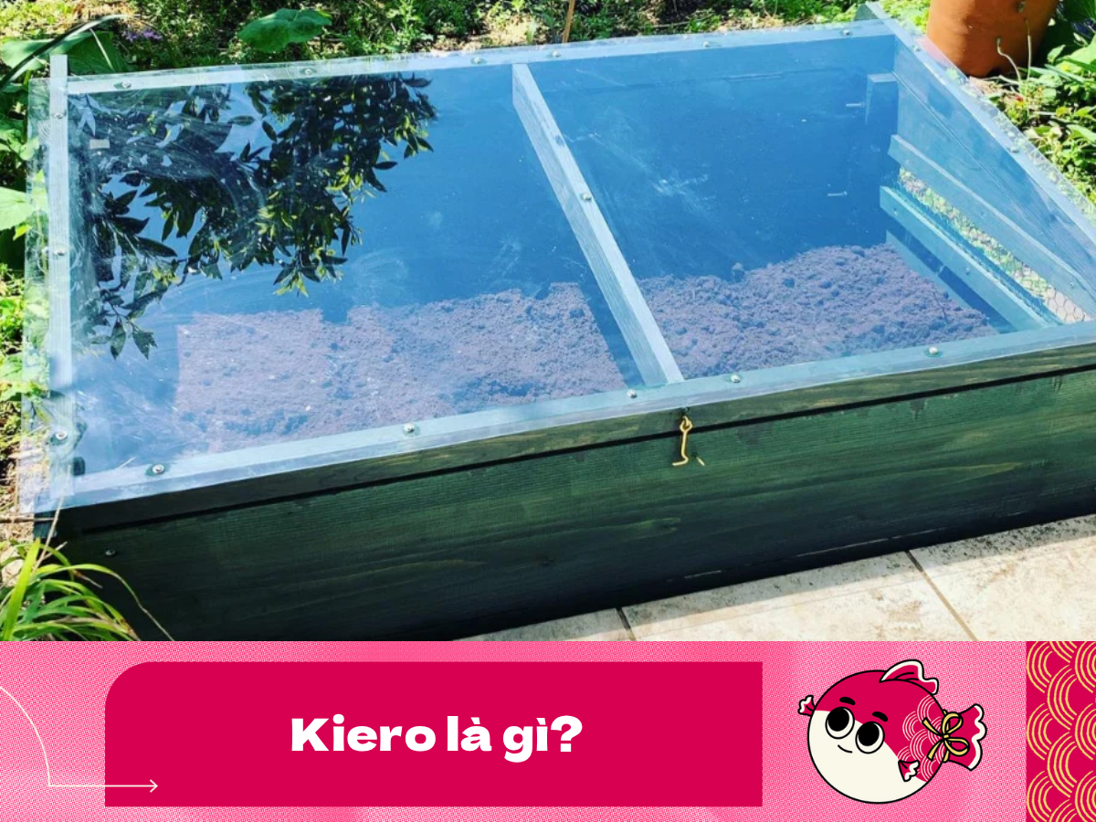 kiero-là-gì