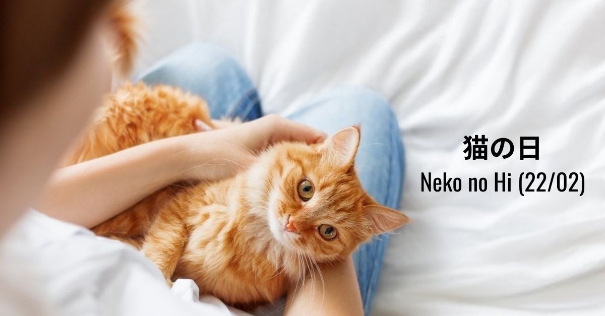 nekonohi