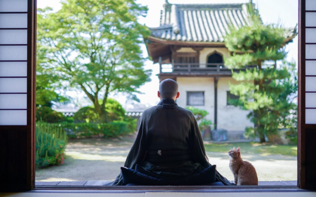 mèo-và-tinh-thần-zen