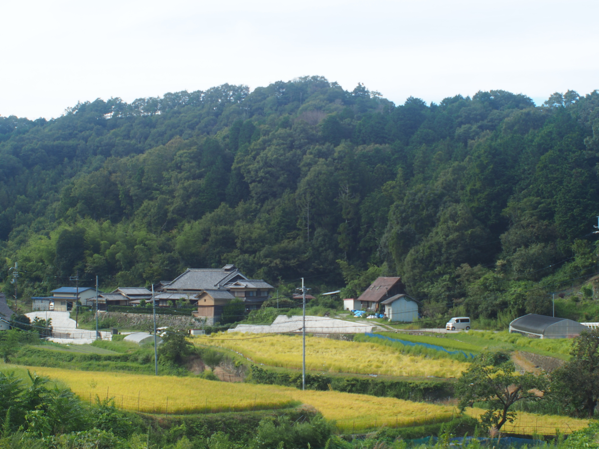 khung-canh
