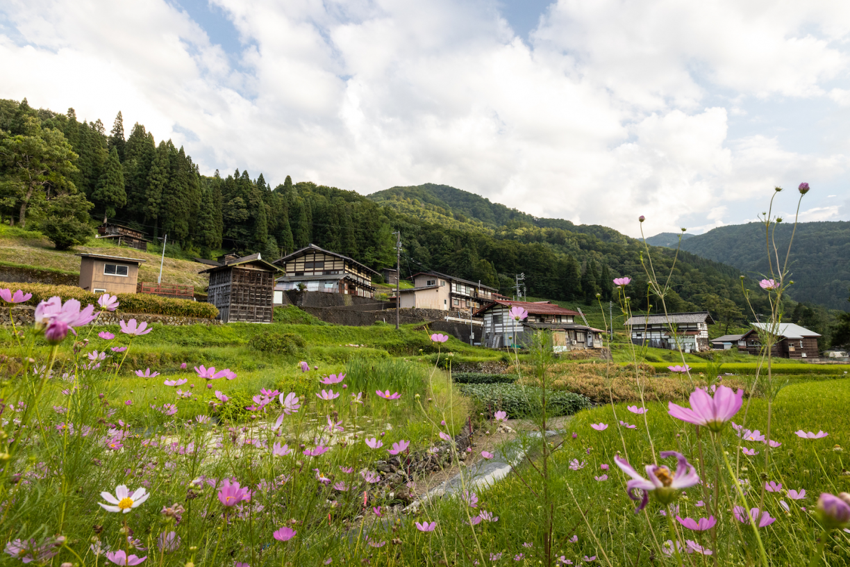 satoyama