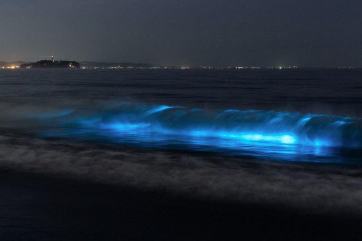 Chigasaki
