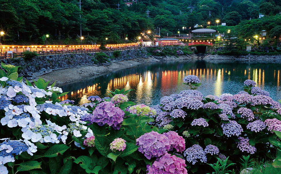 katahara-onsen-ajisai