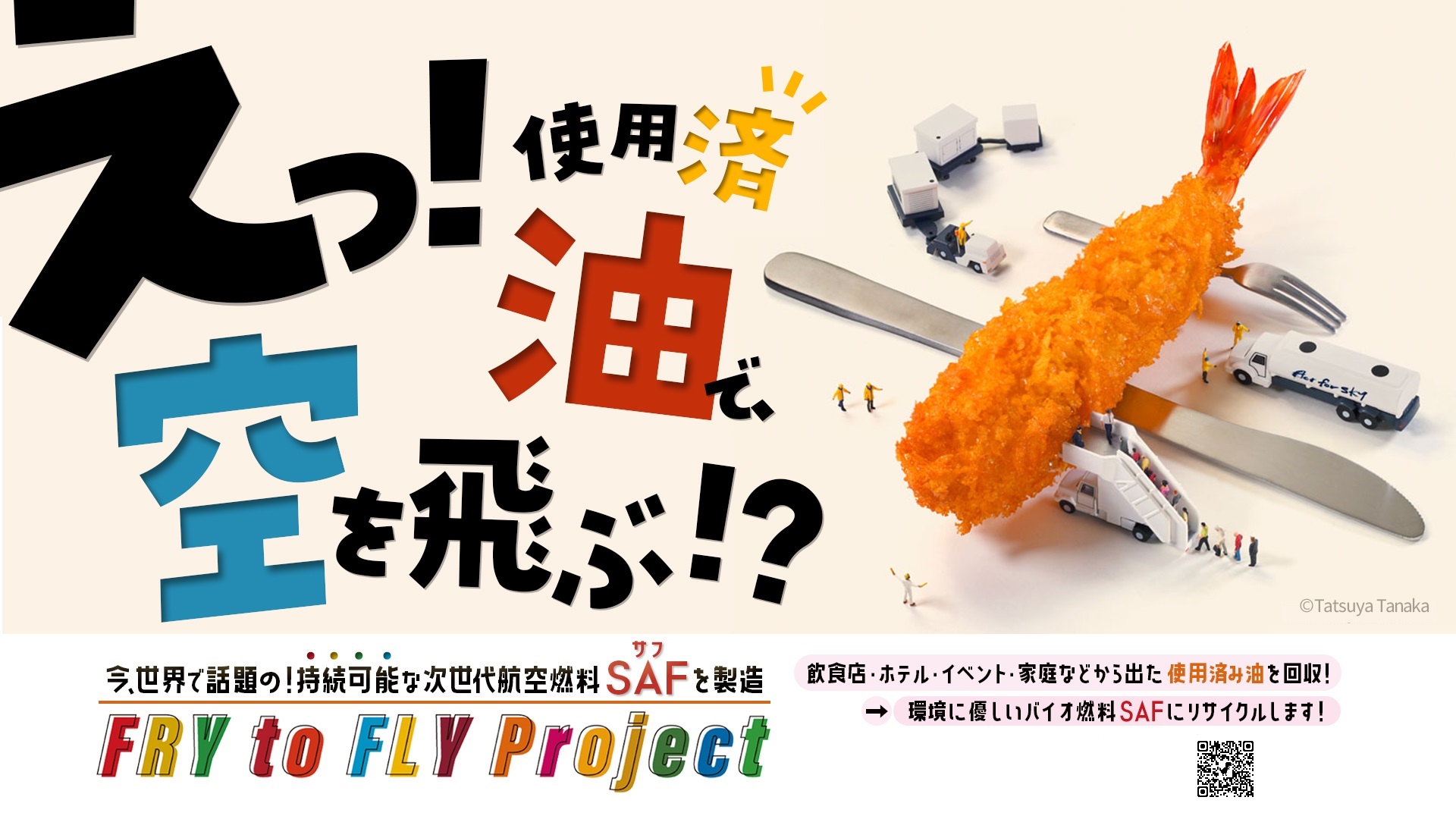 fry-to-fly