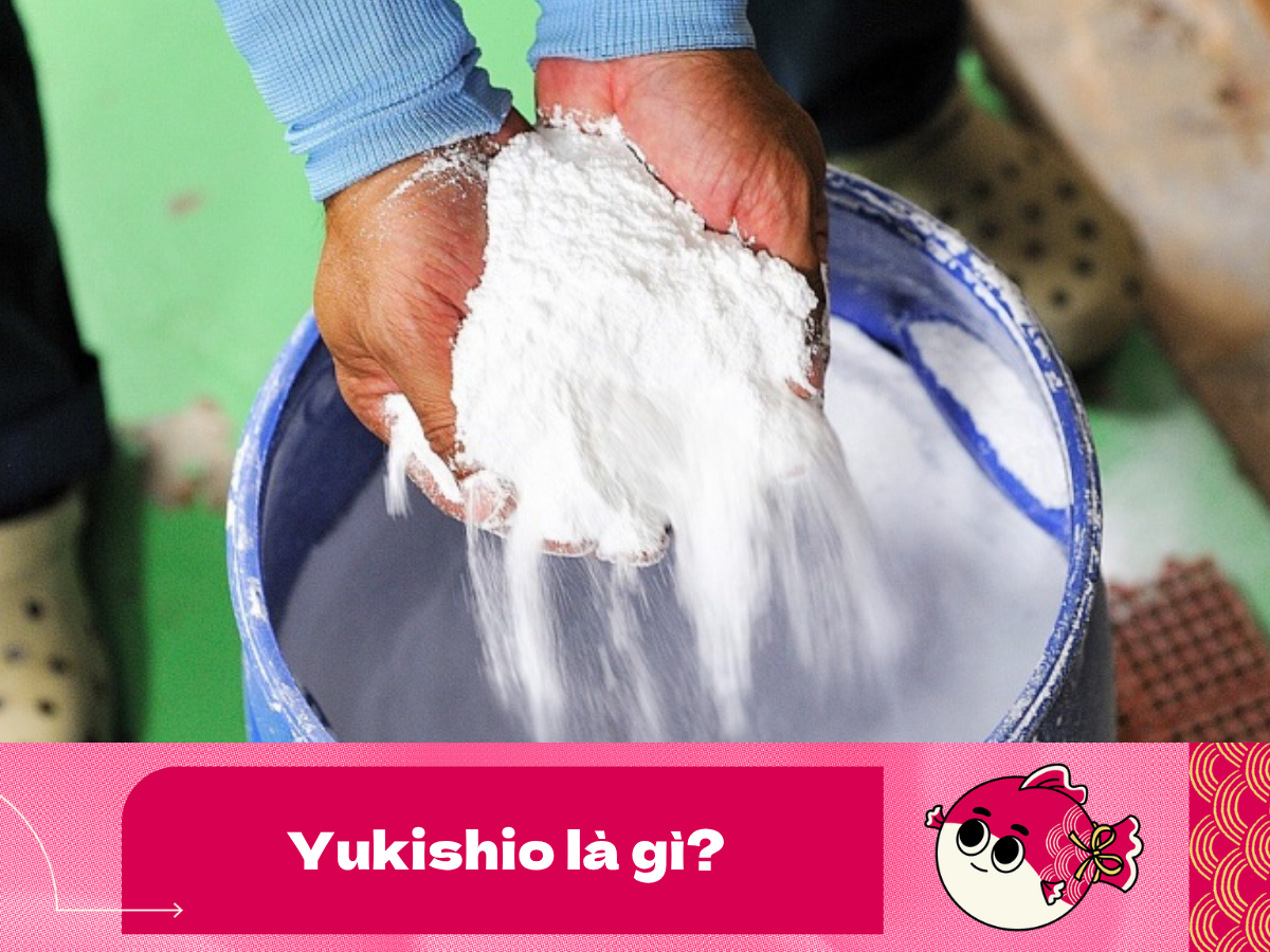yukishio-là-gì yukishio-là-gì