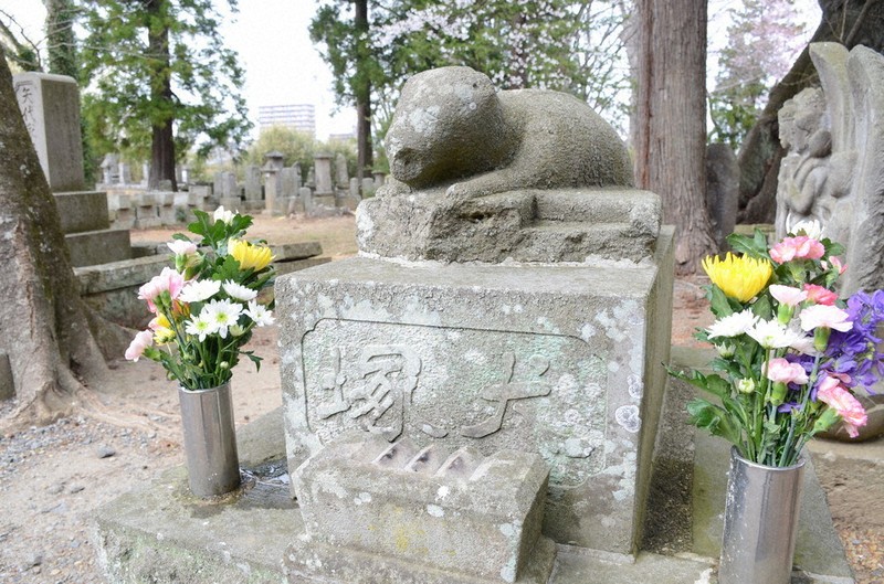 mộ-chú-chó-okage-inu-tên-shiro