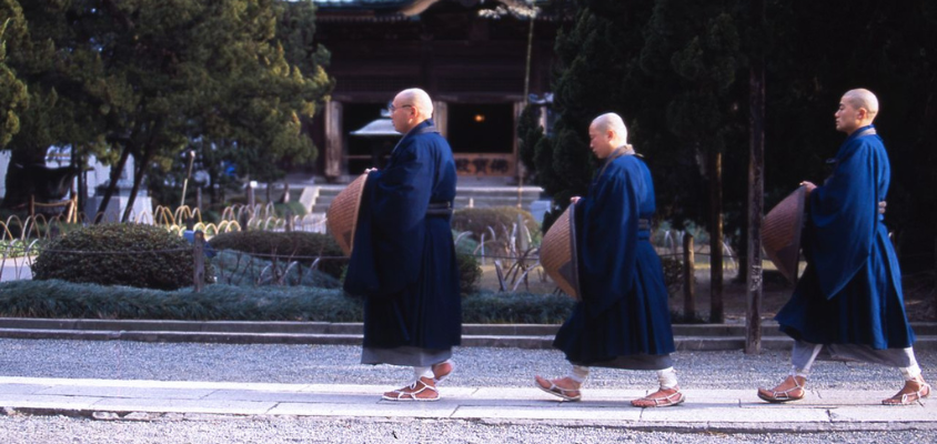 Thanh lọc thân - tâm với “ẩm thực thiền định” tại Kamakura