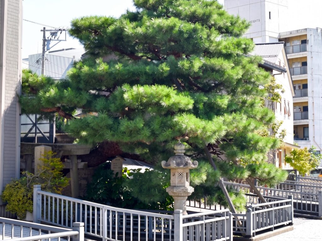 Kifune-Myojin-kanazawa