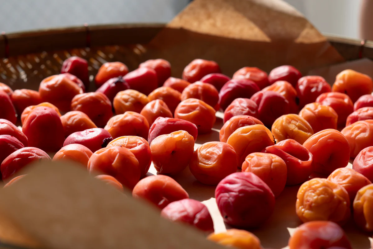 mơ-muối-umeboshi