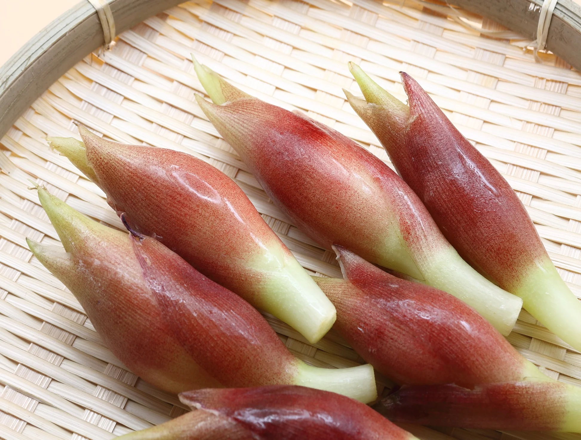 chồi-gừng-nhật-myoga