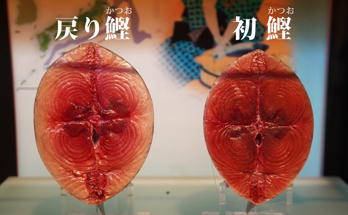 cá ngừ vằn