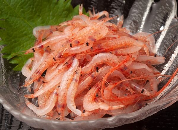 sakura-ebi