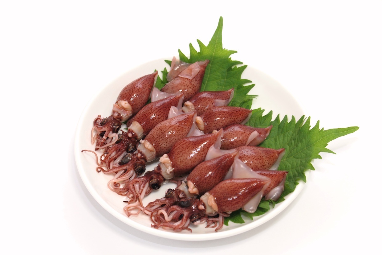 hotaru-ika