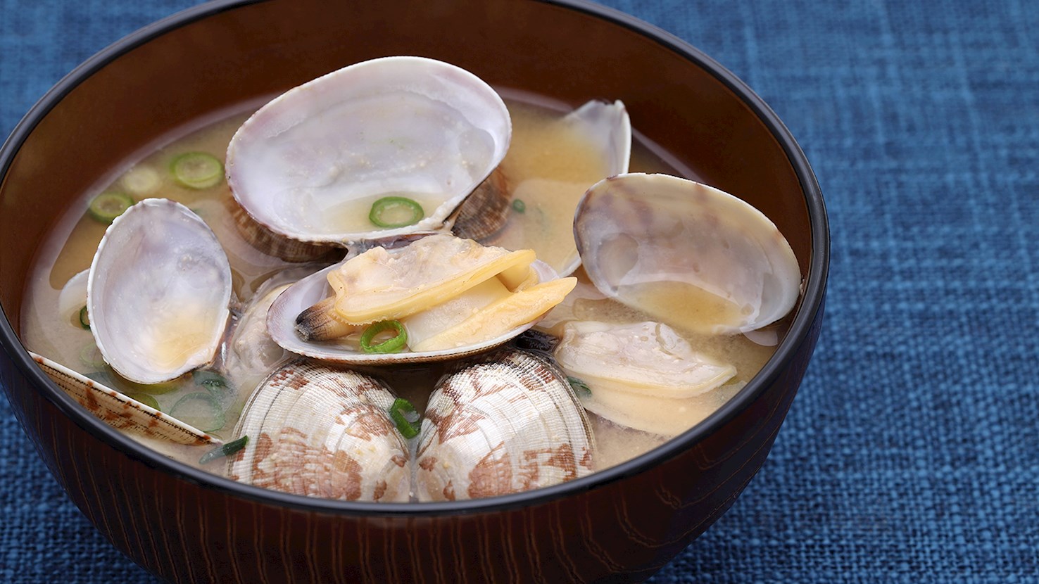 súp-nghêu
