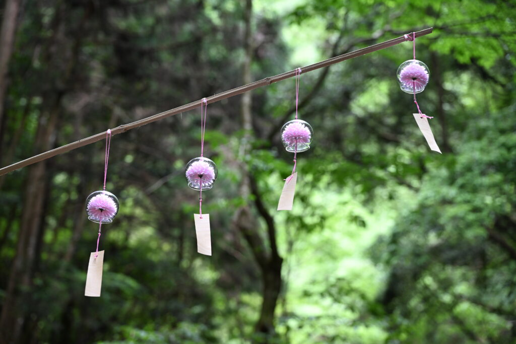 furin