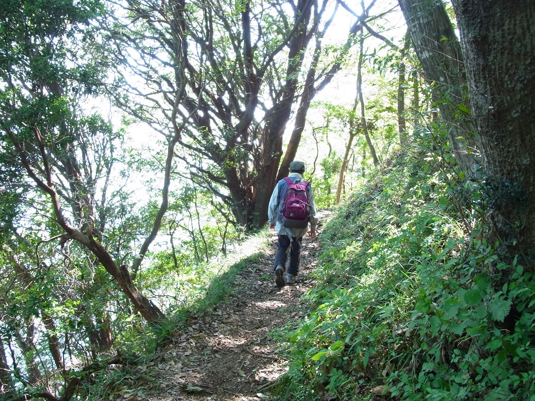 NatureWalk_17_AshinokoWalk_Hakone