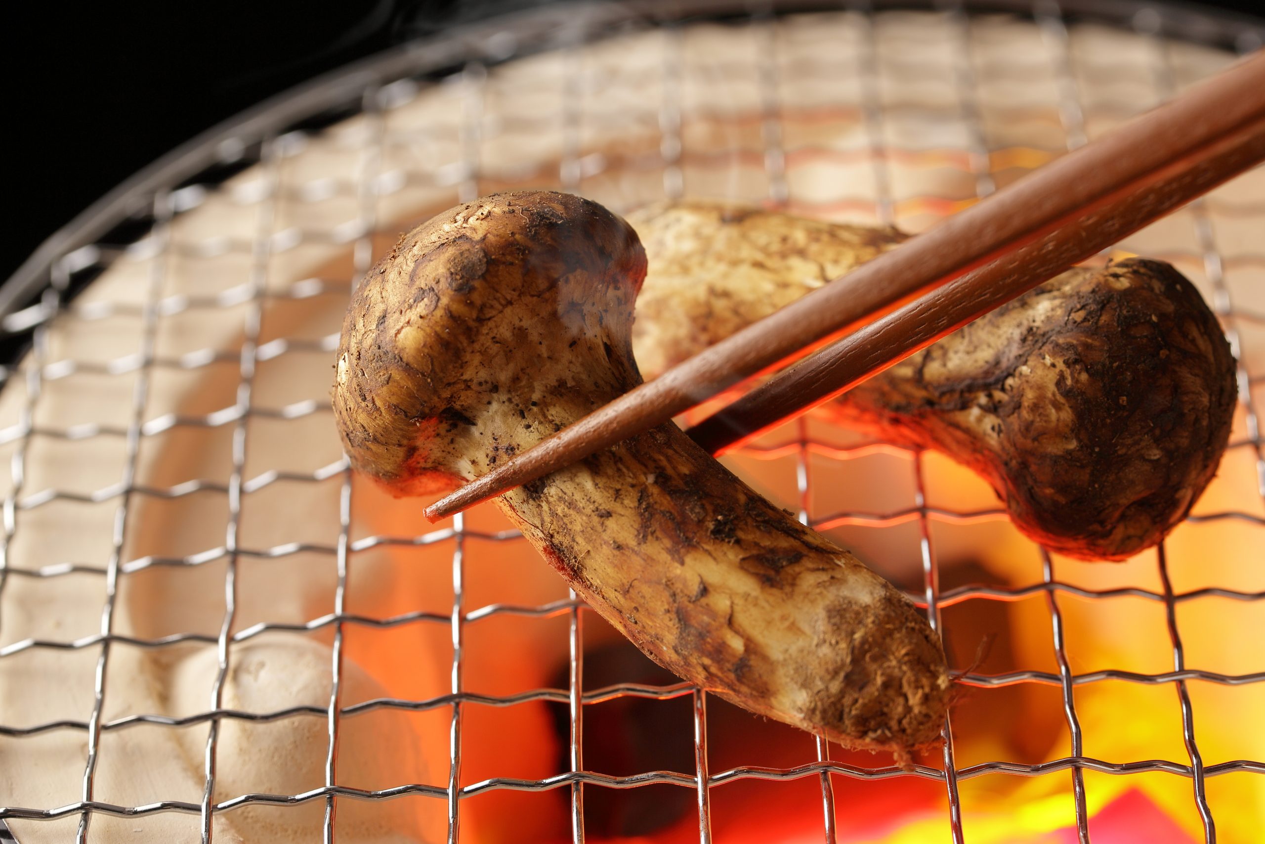 nấm-matsutake