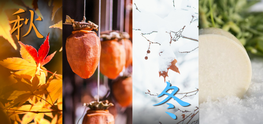 Thưởng thức phong vị bốn mùa Nhật Bản: Thu - Đông