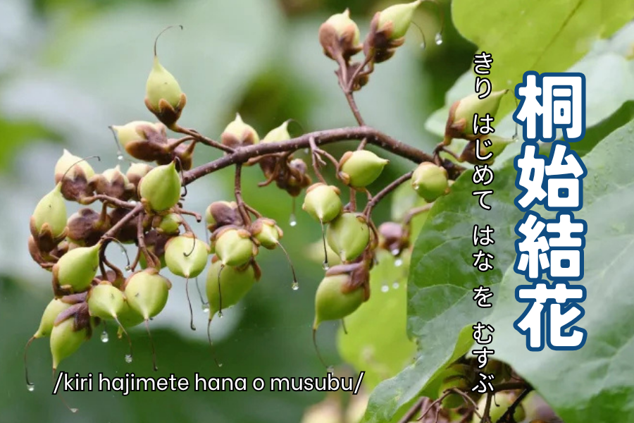 kiri hajimete hana o musubu kiri hajimete hana o musubu
