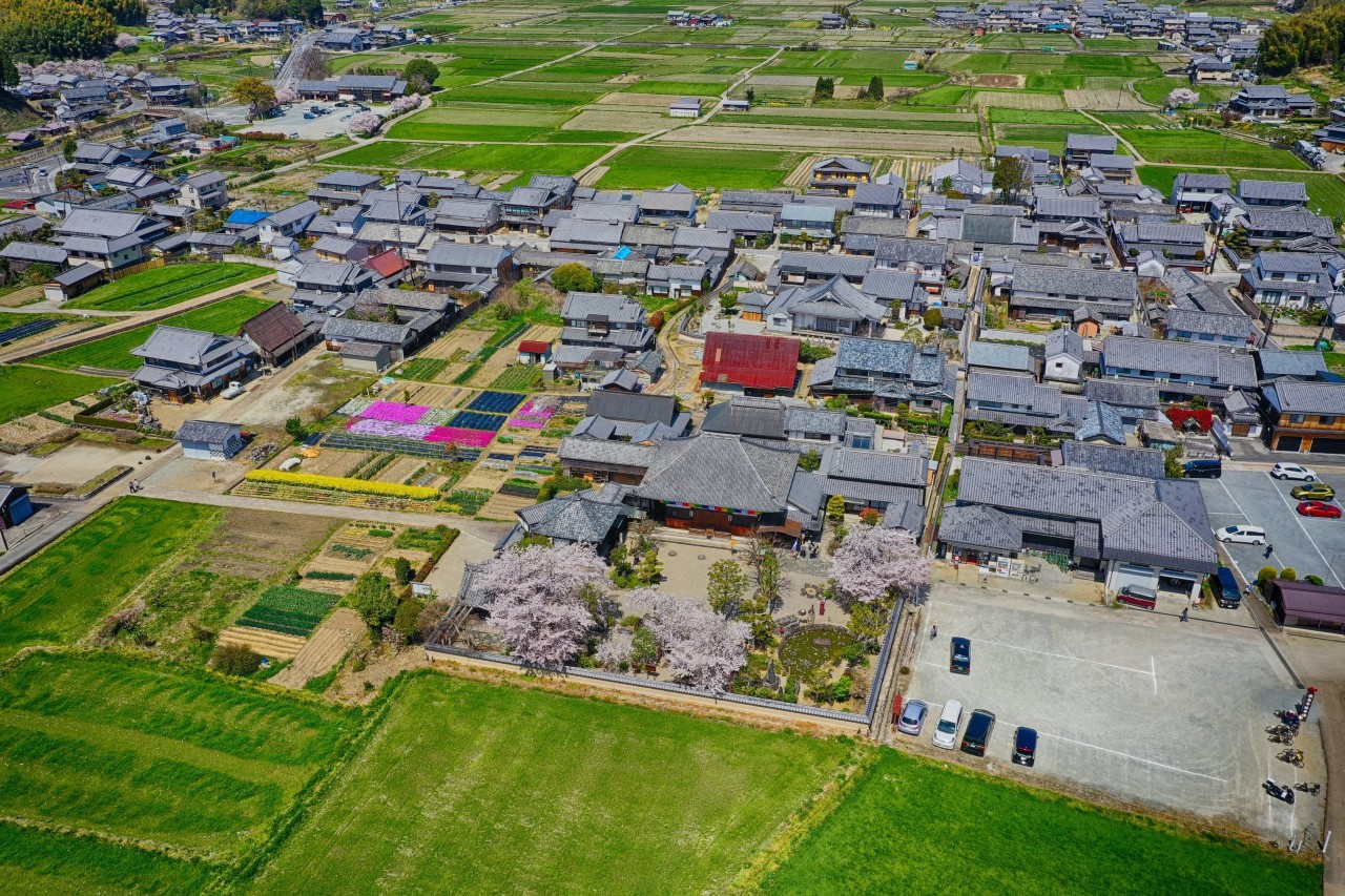 khu-di-tích-chùa-asuka-dera