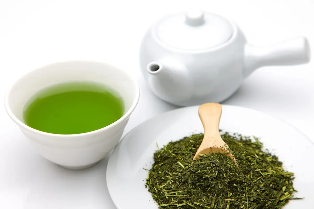 sencha