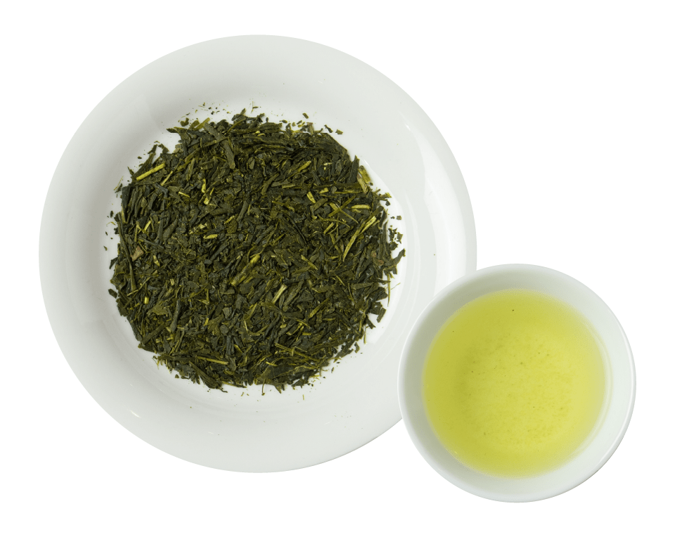 sencha