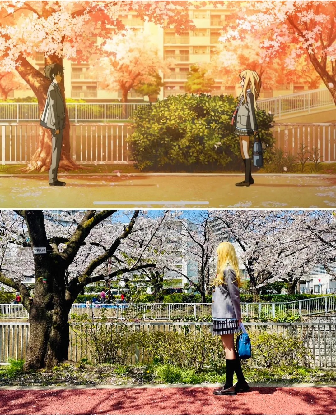 Your Lie in April