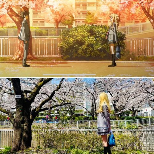 Khám phá những bối cảnh anime ở đời thực tại Tokyo