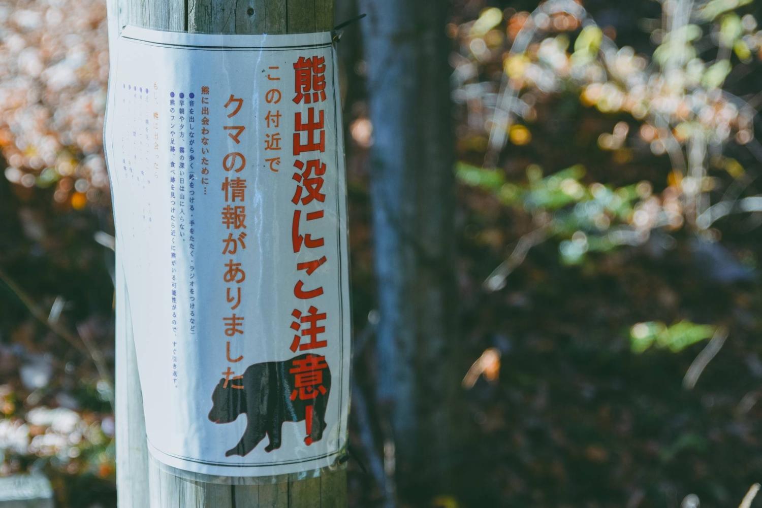 gau-tan-cong
