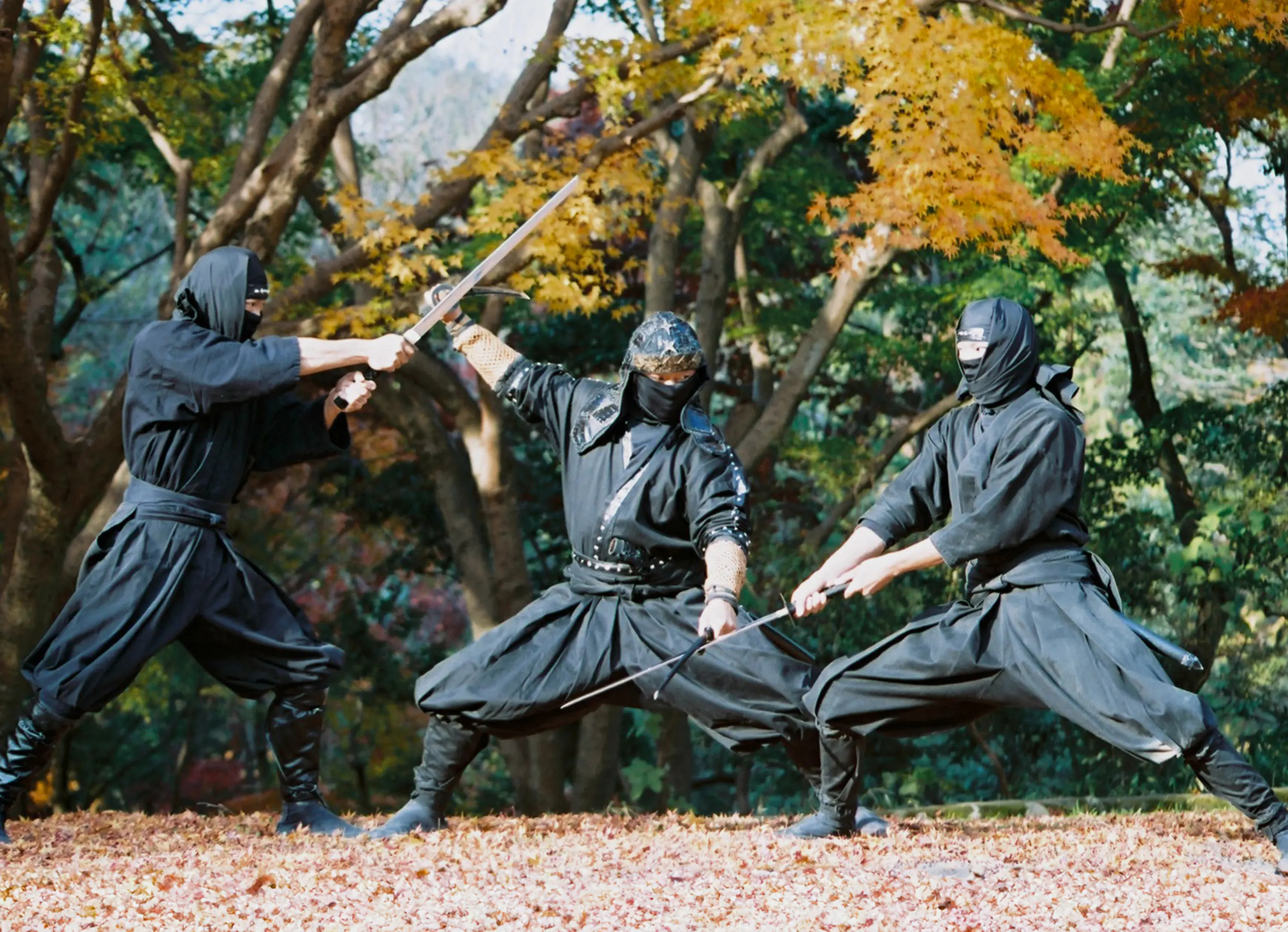iga-ninja