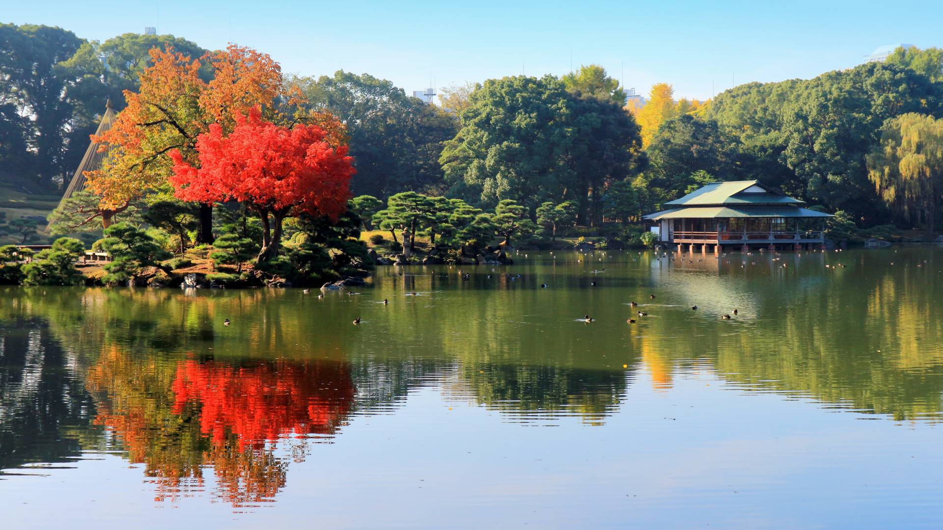 kiyosumi