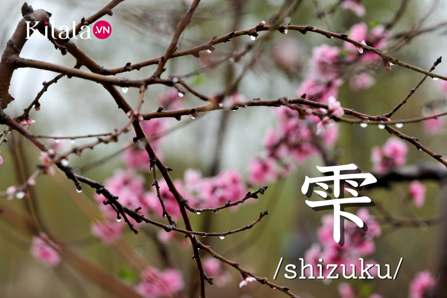 shizuku