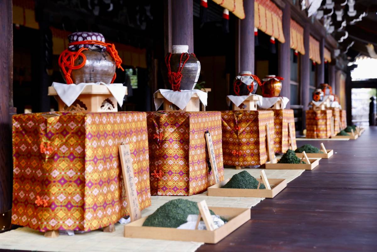 le-mo-binh-tra
