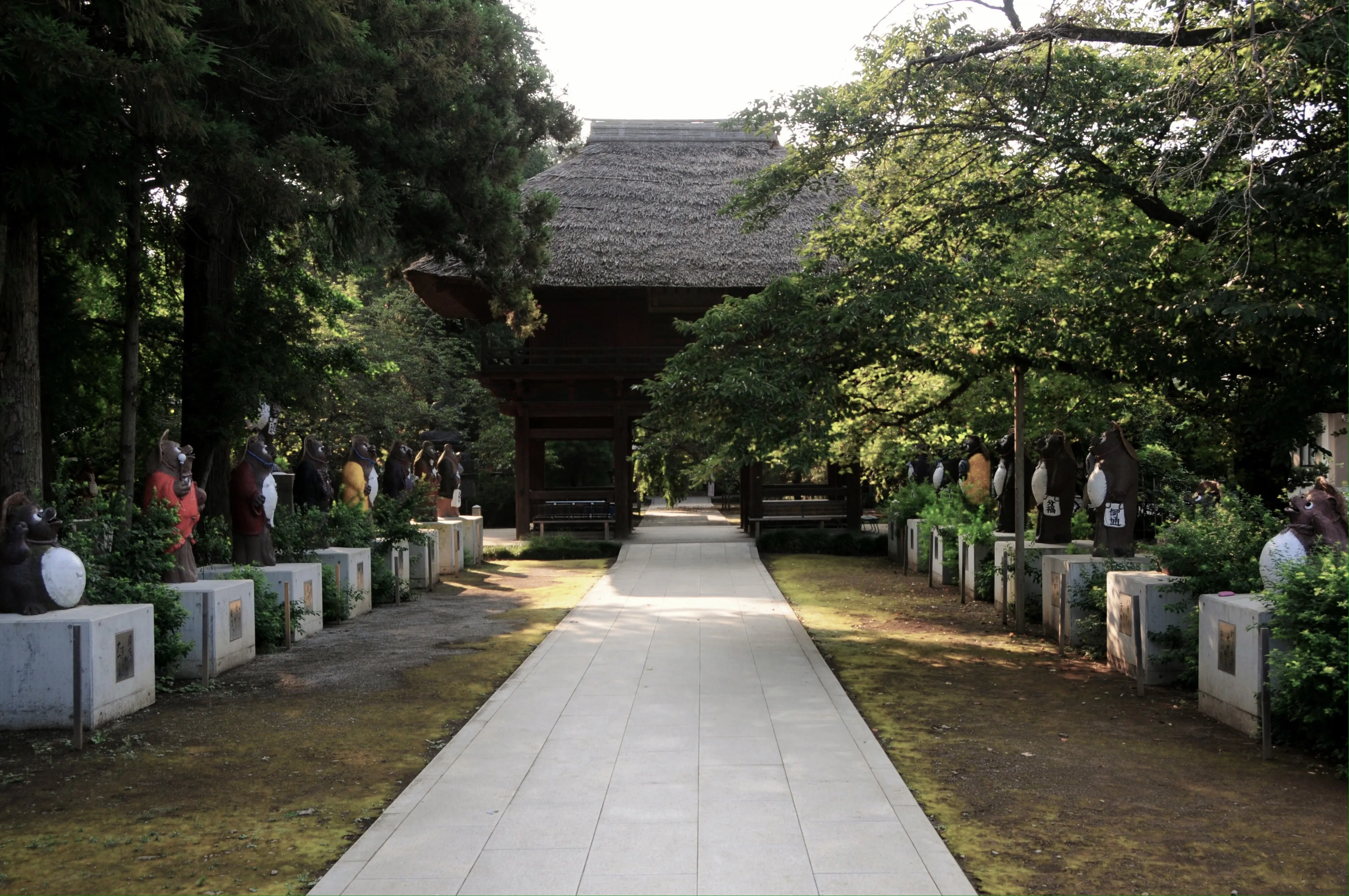 chua-morin-ji
