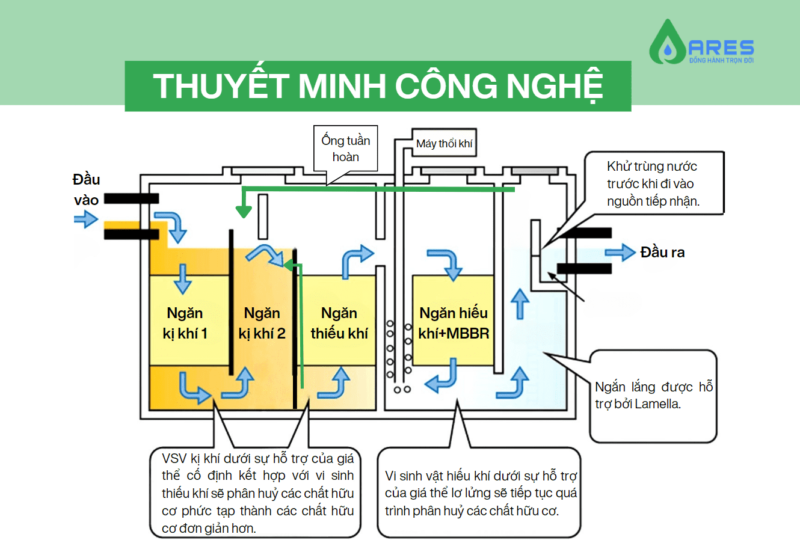 sơ đồ minh họa bể tự hoại jokaso