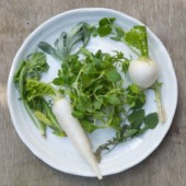 Cháo Nanakusa lời cầu chúc khỏe mạnh suốt năm