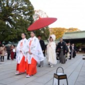 Meiji Jingu - Biểu tượng bất tử trong lòng Tokyo hiện đại