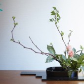 Học cắm hoa Ikebana cơ bản trong 1 nốt nhạc